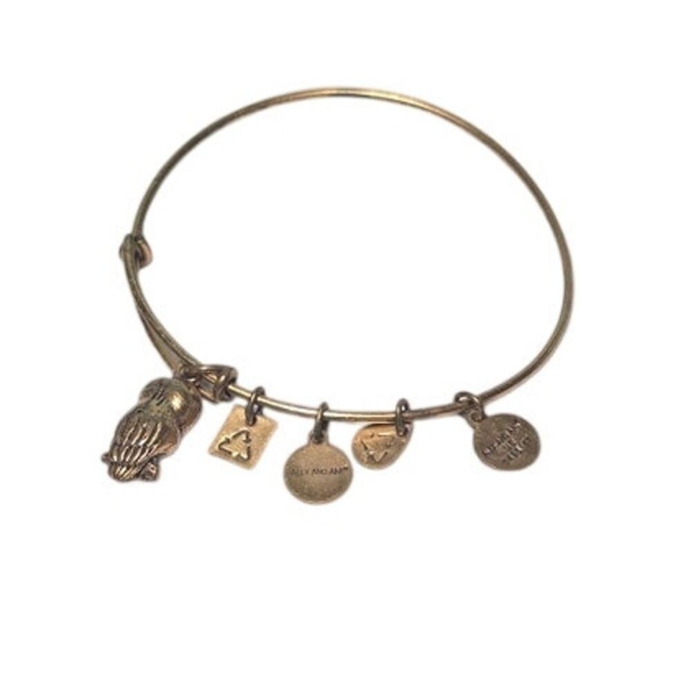 Alex & Ani Owl Charm Bracelet